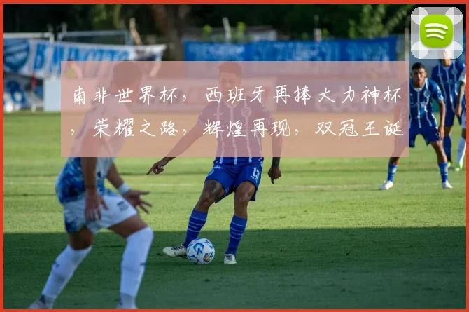 南非世界杯，西班牙再捧大力神杯，荣耀之路，辉煌再现，双冠王诞生