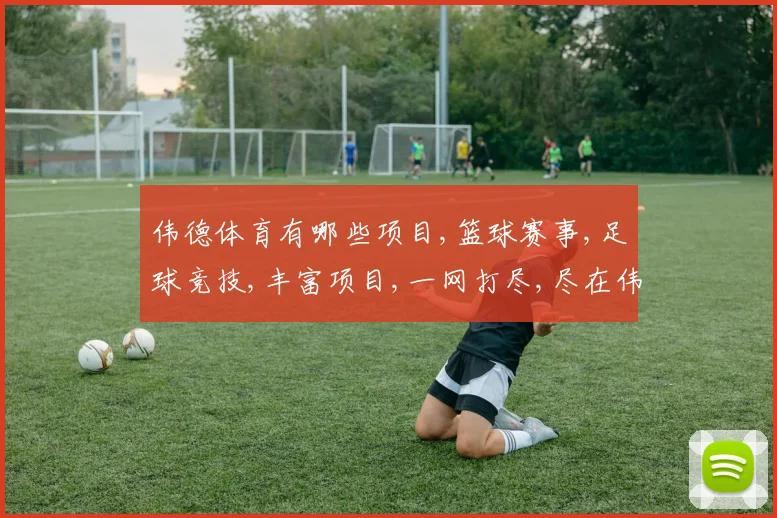伟德体育有哪些项目,篮球赛事,足球竞技,丰富项目,一网打尽,尽在伟德体育,体验无限精彩。