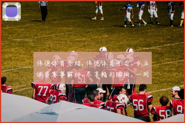 伟德体育介绍,伟德体育平台,专业体育赛事解析,尽享精彩瞬间,一网打尽