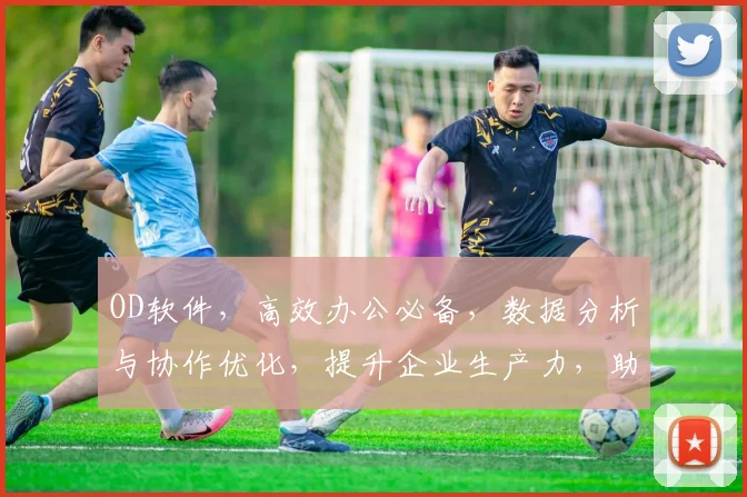 OD软件，高效办公必备，数据分析与协作优化，提升企业生产力，助力业务成长